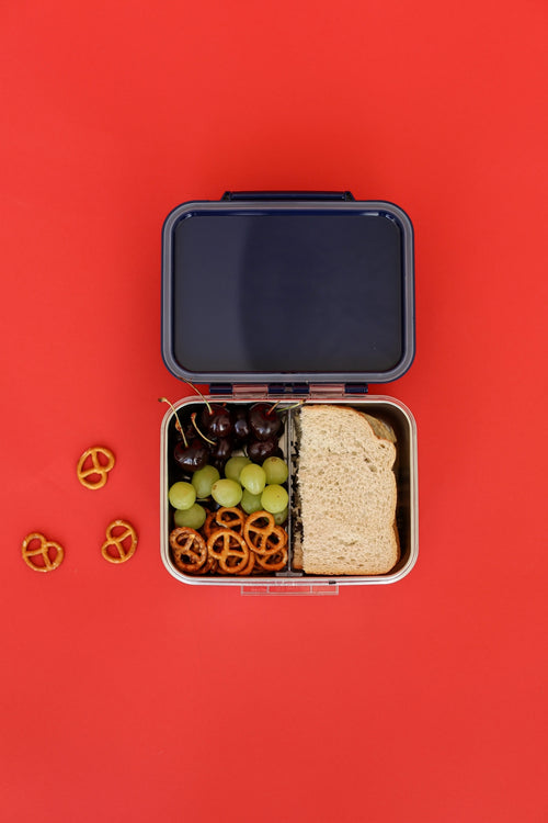 Stainless Steel Lunchbox | Dark Blue