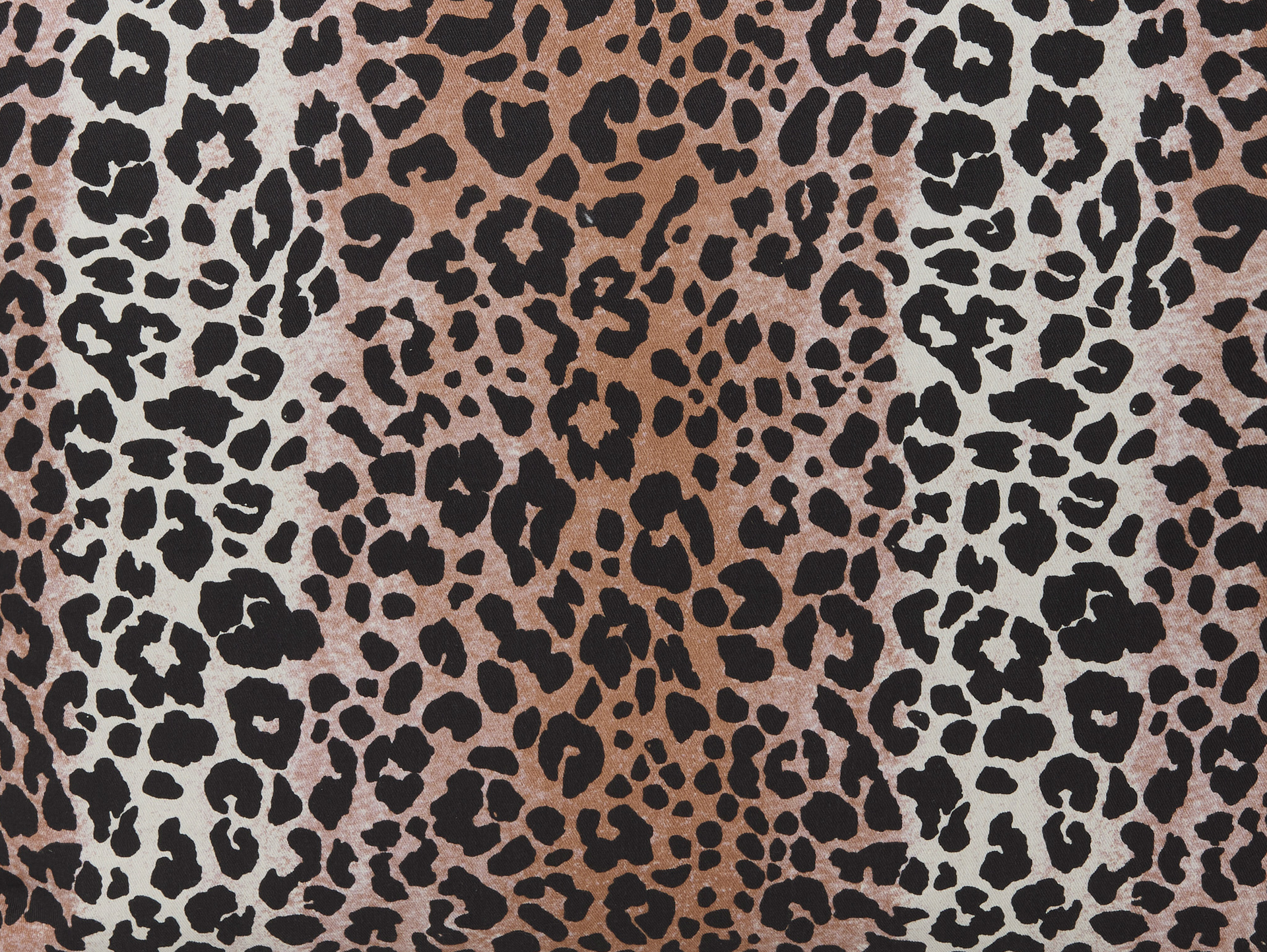 Hazel Leopard Collection