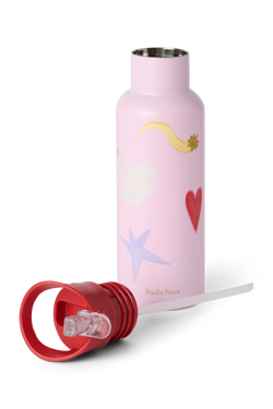 RVS drinkfles 500 ml | Fantasy Feast