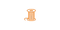 Embroidery | Burned Orange