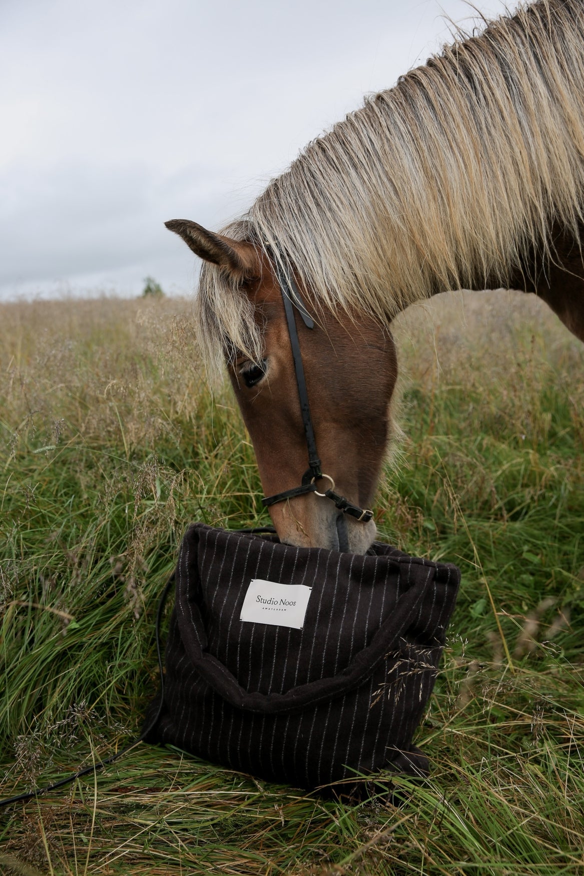 Flannel Chalkstripe Mom Bag | Brown