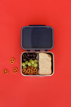 Stainless Steel Lunchbox | Dark Blue